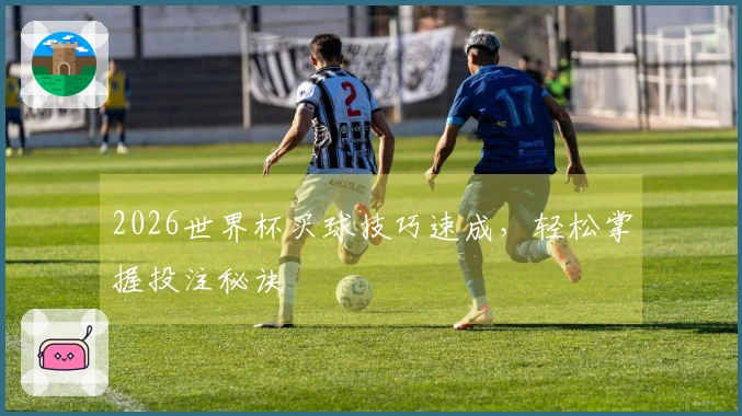 2026世界杯买球技巧速成，轻松掌握投注秘诀