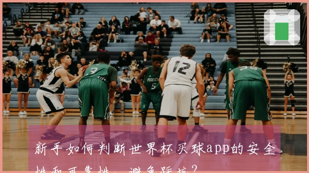 新手如何判断世界杯买球app的安全性和可靠性，避免踩坑？