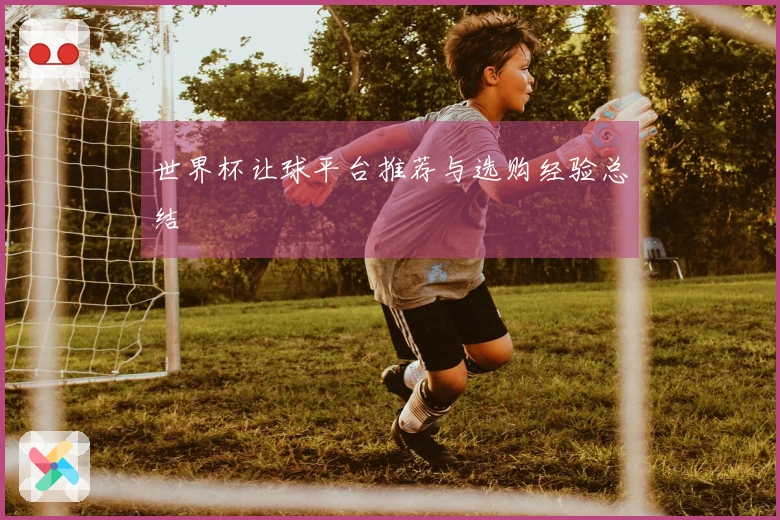 世界杯让球平台推荐与选购经验总结