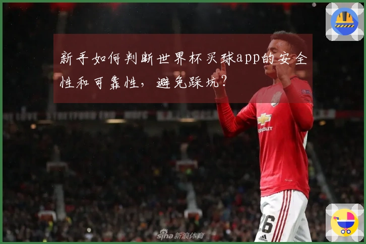 新手如何判断世界杯买球app的安全性和可靠性,避免踩坑?